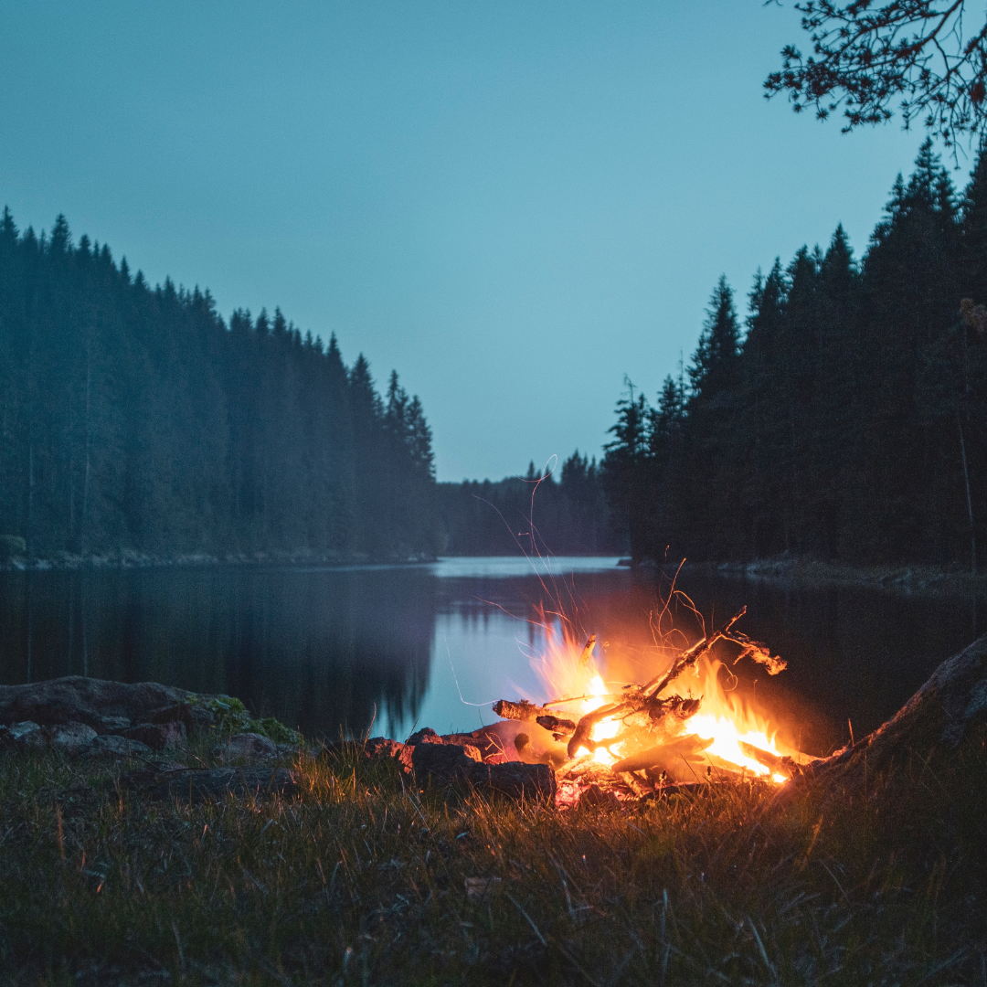 Mushrooms and Melatonin: The Ultimate Sleep and Recovery Duo